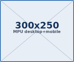 300×250