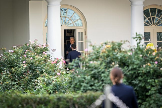 Дональд Трамп в цветущих кустах у входа в Белый дом