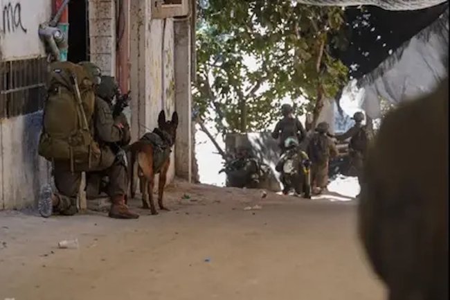 Бойцы ЦАХАЛа и собаки на рейде