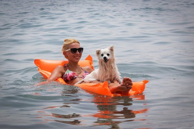 Молодая женщина с собакой отдыхает на надувном матрасе в Красном море у израильского побережья Эйлата