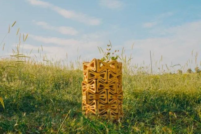 Защита растений, созданная с помощью 3D-печати учеными из Техниона