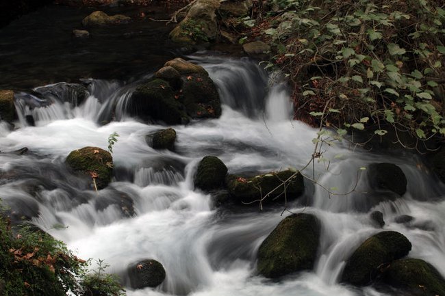 Истоки Баниас у подножия Хермона. Голанские высоты, север Израиля