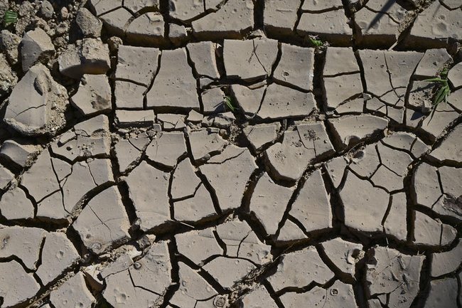 Потрескавшаяся от засухи почва