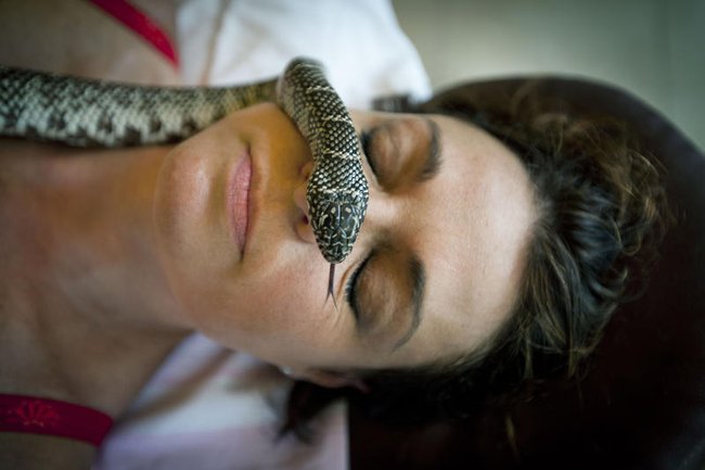 Женщина со змеей на лице, фотоиллюстрация