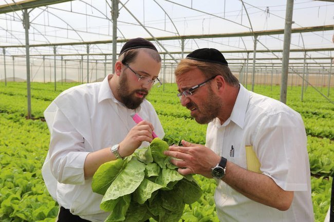 Сегодня в Израиле — новостное изображение