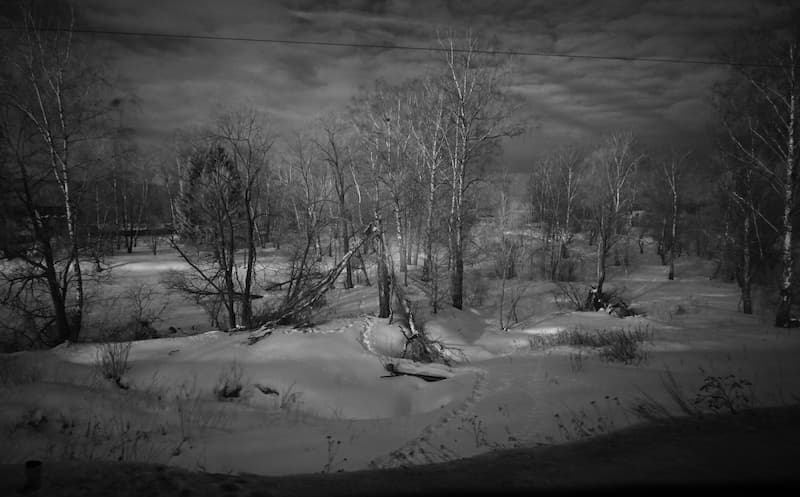 Место Сталинградской битвы. Инфракрасное фото Арсена Ревазова