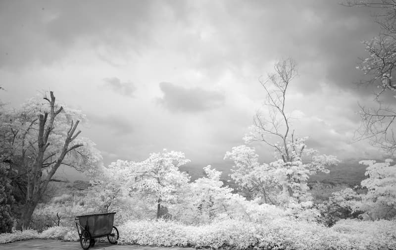 Место битвы при Дьен Бьен Фу. Инфракрасное фото Арсена Ревазова