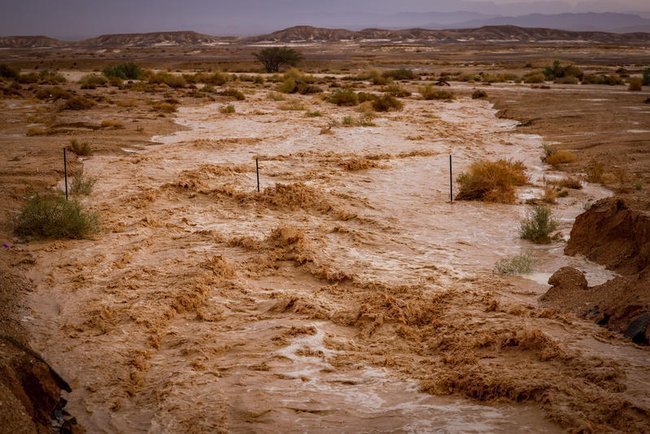 Сильные ливневые потоки в Араве, перекрывшие дорогу