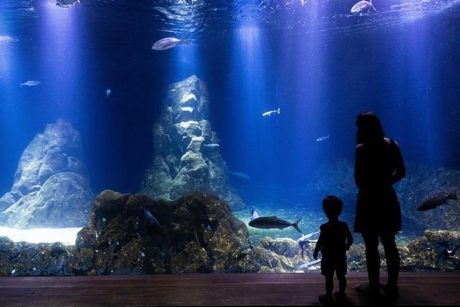 Сегодня в Израиле — новостное изображение