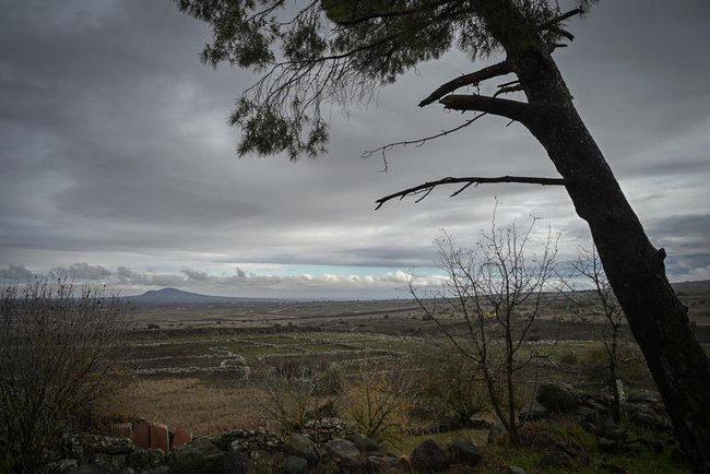 Сегодня в Израиле — новостное изображение