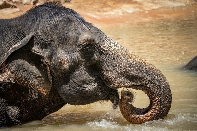 Сегодня в Израиле — новостное изображение