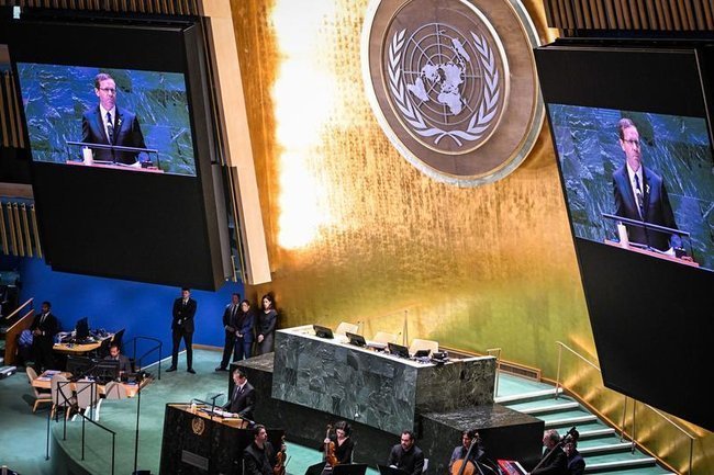 Генассамблея ООН, вид