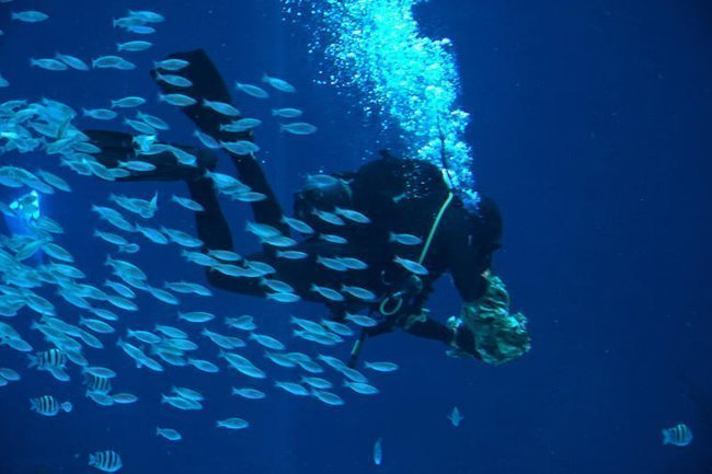 Сегодня в Израиле — новостное изображение