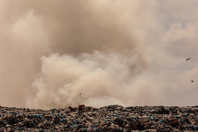 Сегодня в Израиле — новостное изображение