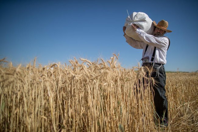 Сегодня в Израиле — новостное изображение