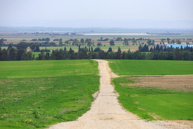 Сегодня в Израиле — новостное изображение