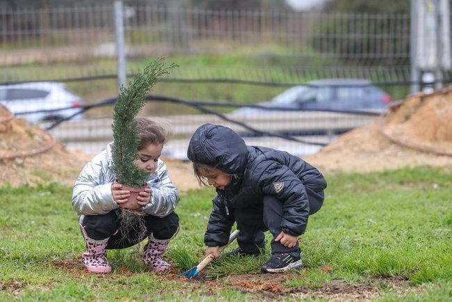 Дети сажают деревья на праздник Ту би-Шват.
