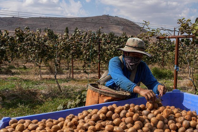 Сегодня в Израиле — новостное изображение