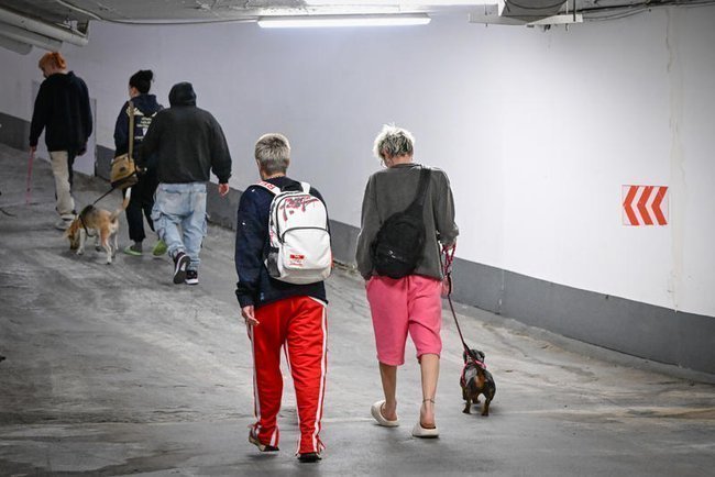 женщины с собакой поднимаются из бомбоубежища