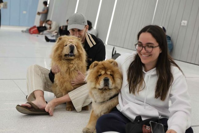 Сегодня в Израиле — новостное изображение