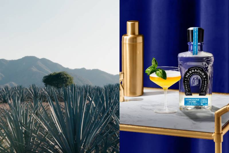 Сегодня в Израиле — новостное изображение