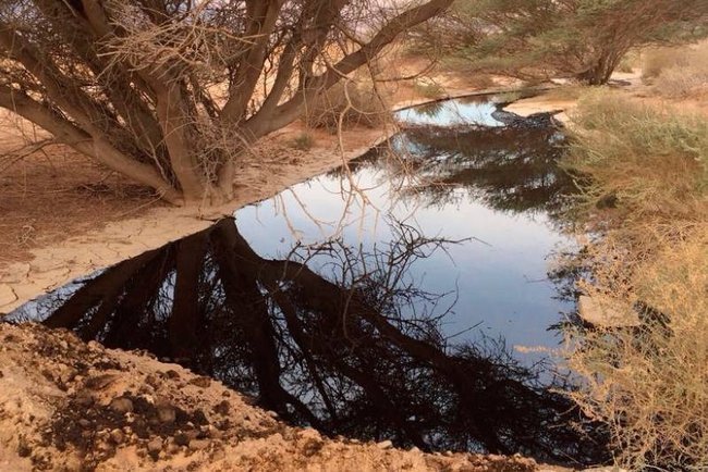 Разлив нефти в Араве.