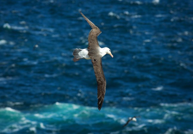 Сегодня в Израиле — новостное изображение