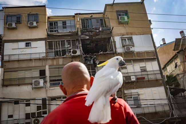 Сегодня в Израиле — новостное изображение