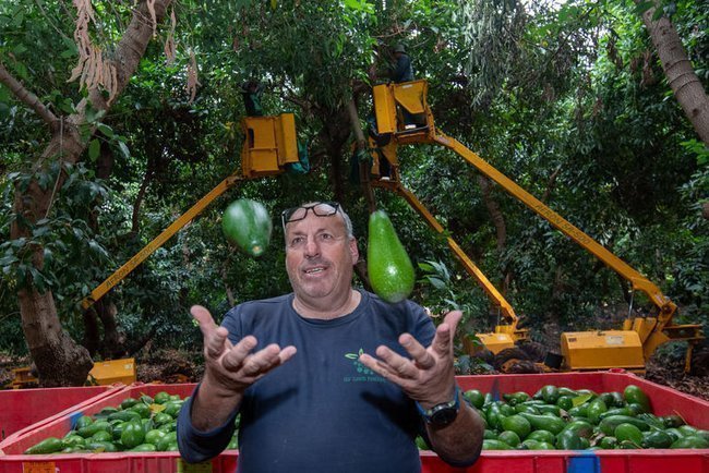 Архивное фото Офера Московица, 2021 год