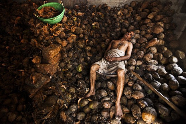 Индийский рабочий, занимающийся обработкой кокосов, спит прямо на куче плодов в храме Кали в городе Удупи на юге Индии