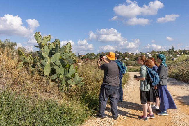 Сегодня в Израиле — новостное изображение