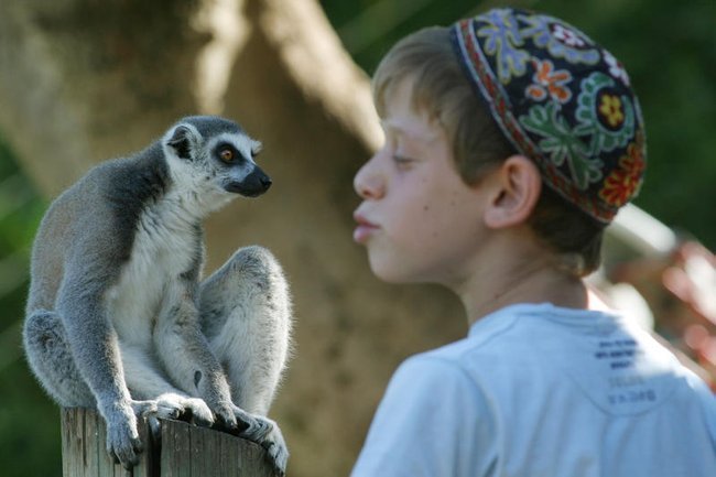 Сегодня в Израиле — новостное изображение