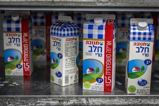 молоко на полке в супермаркете