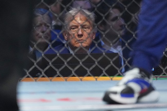 Дональд Трамп на матче UFC 14 июня 2026 года.