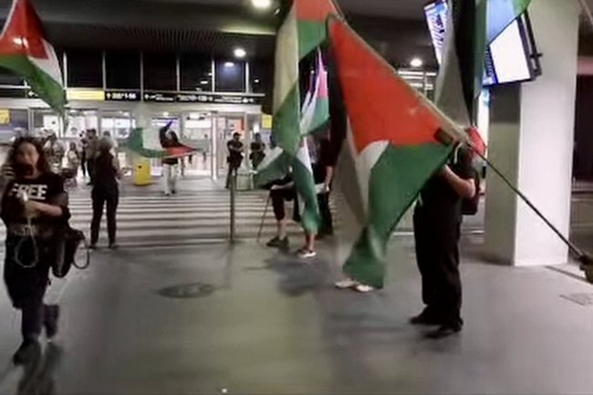 протестующие с палестинскими флагами в аэропорту