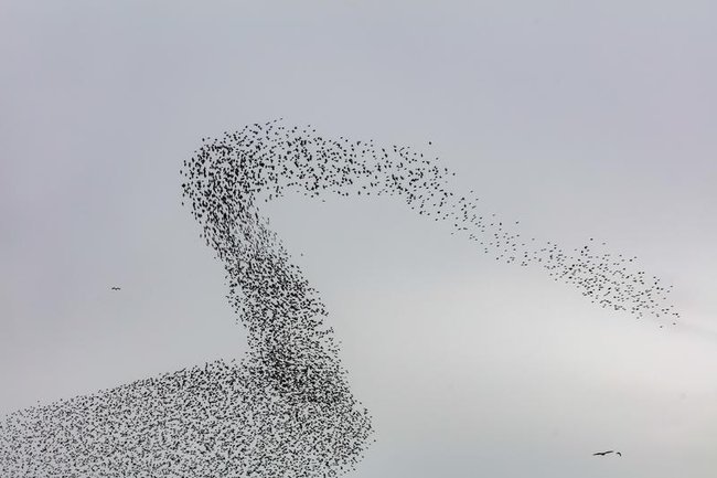 Сегодня — новостное изображение