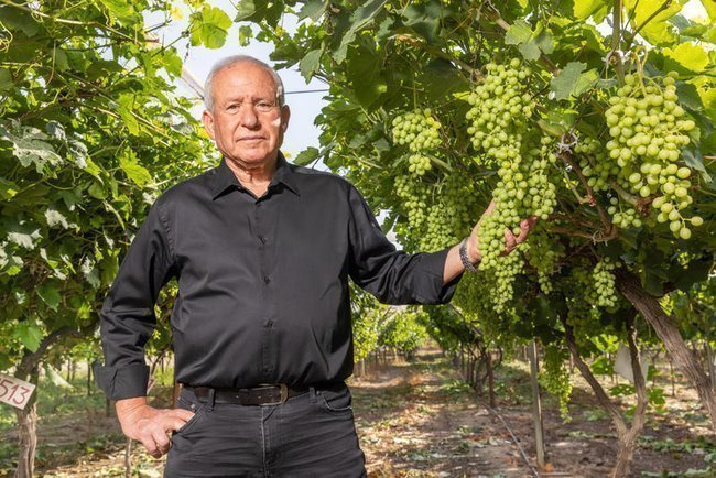 Сегодня — новостное изображение