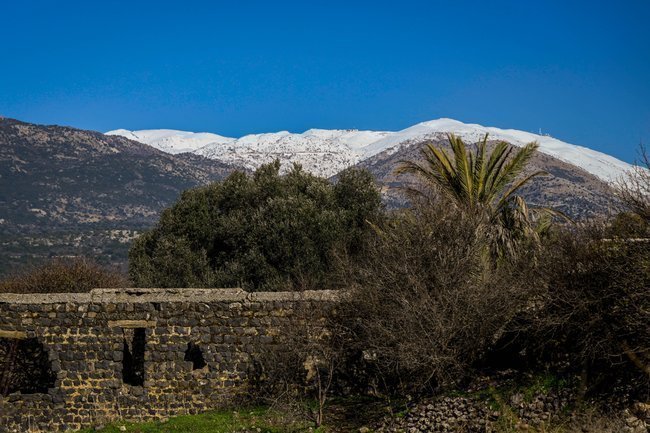 Сегодня — новостное изображение