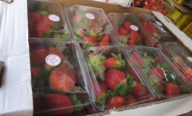 Сегодня в Израиле — новостное изображение