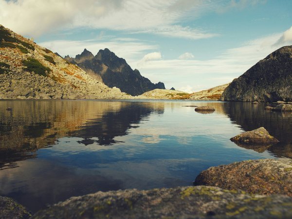 Сегодня — новостное изображение
